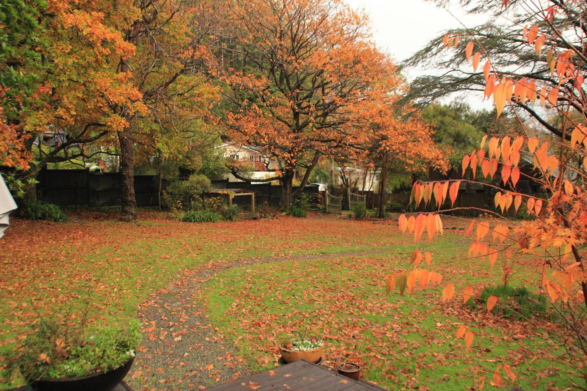 Pinehaven Cottage Upper Hutt Esterno foto